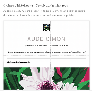 newsletter aude simon.