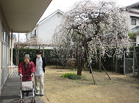 IMG_0003.JPG