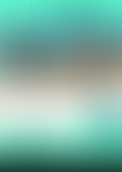 ASAMBLEA GENERAL ORDINARIA 2017