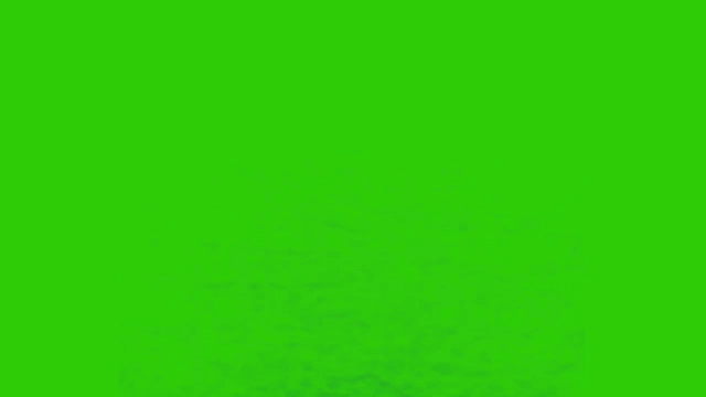 Jenny O (2).gif