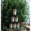 Miniatura: Pack We Love Green