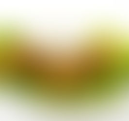 🌱✨ Falafel Casero: Crujiente por Fuera, Suave por Dentro ✨🌱