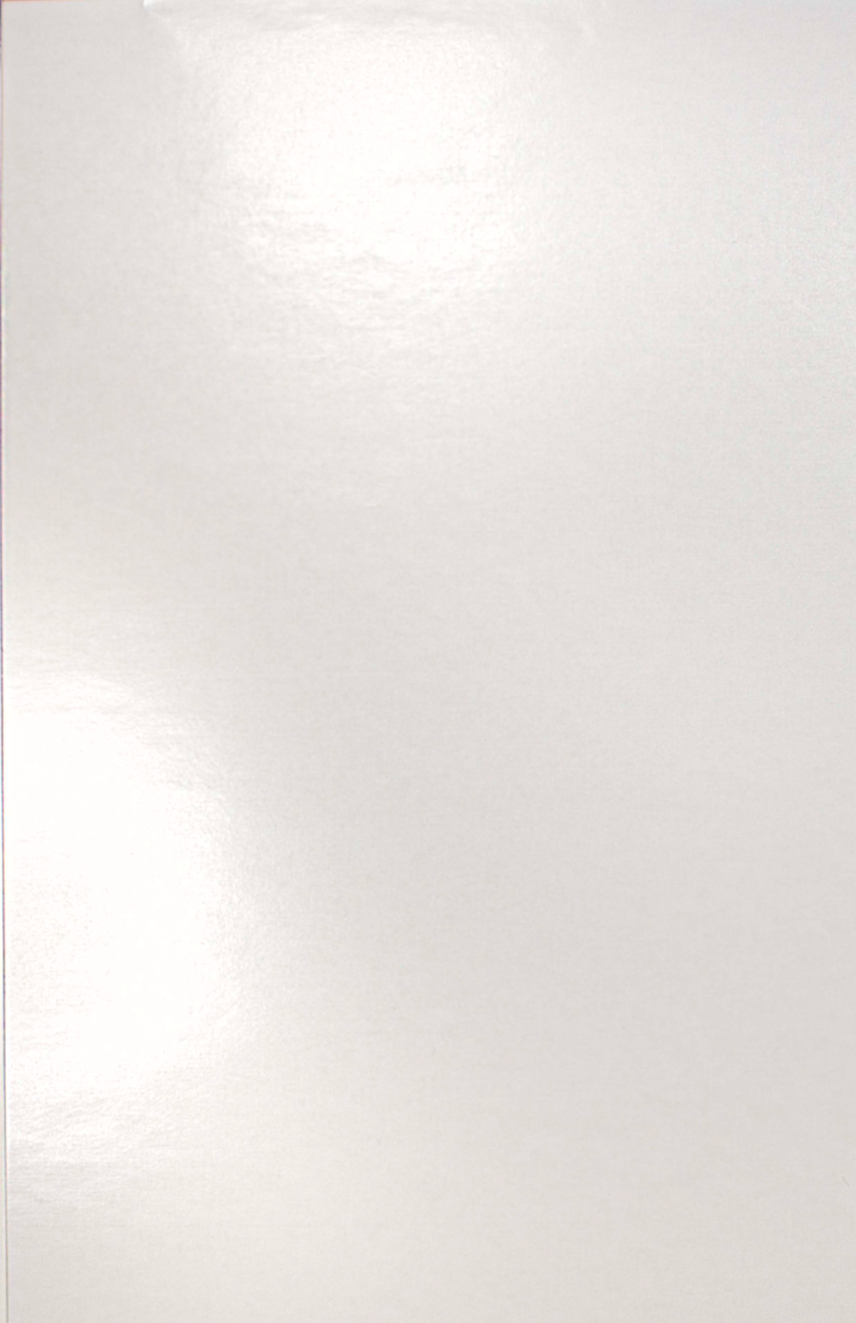 White Gloss Gift wrap paper