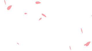 5ff2434616445ffacbd6f0b50e055c4a3111577dr1-320-179_hq.gif