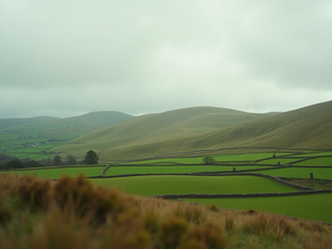 Join the Mayo Association: Connect with Your Heritage