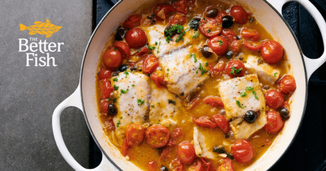 November 2023 | Bray & Co Launches an Integrated Creative, Media, and Strategy Platform for The Better Fish