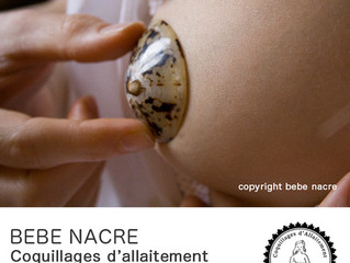 Coquillage d'allaitement Bébé Nacre