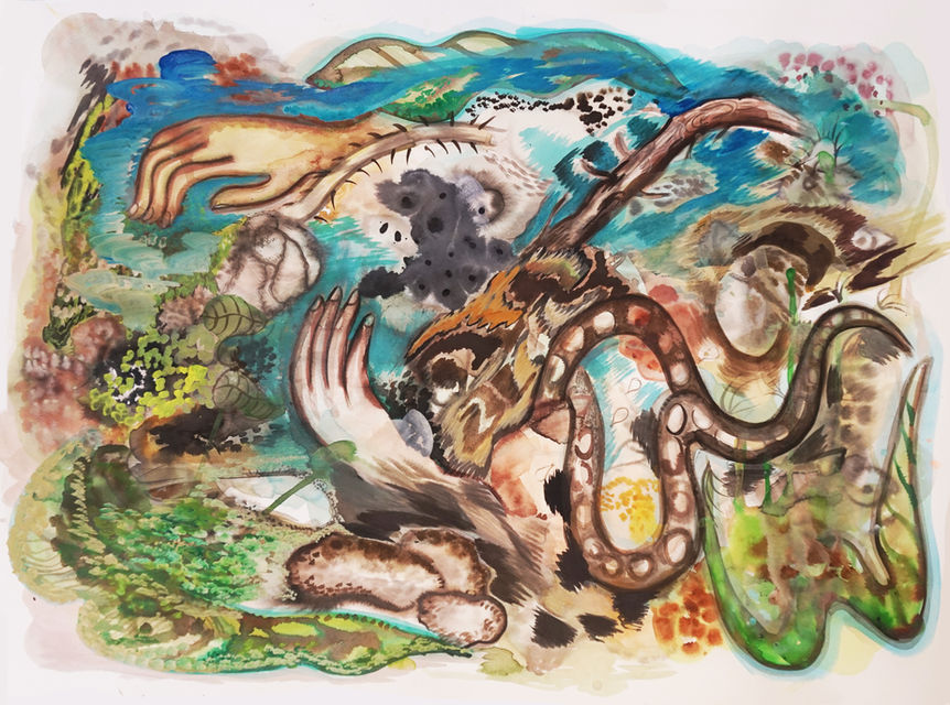 Deborah Wasserman Artist work on paper about the octopus