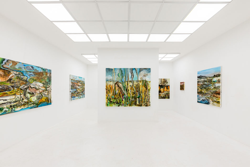 Contemporary landscape paintings by Brazilian artist Deborah Wasserman Artist paintings, drawings, eco-feminism, eco-feminist, migration, environmental art, abstract, figurative, process, Brazil,. Mother Earth, eco-feminist, woman painter, contemporary artist, solo show