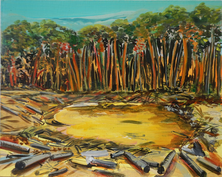 Deforestation and cutting trees in the amazon forest. Deborah Wasserman highlights the exploitation of natural resources or the lungs of the world