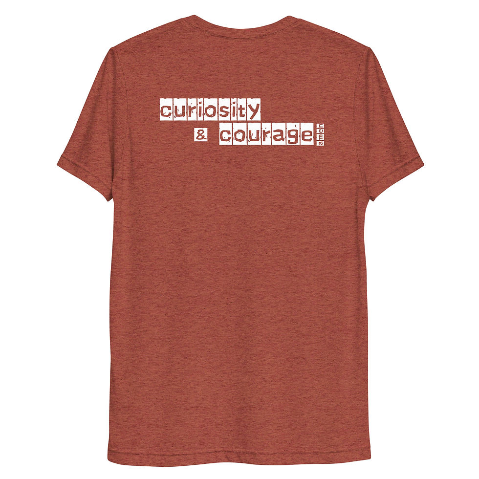 Thumbnail: tri-blend crew (back)