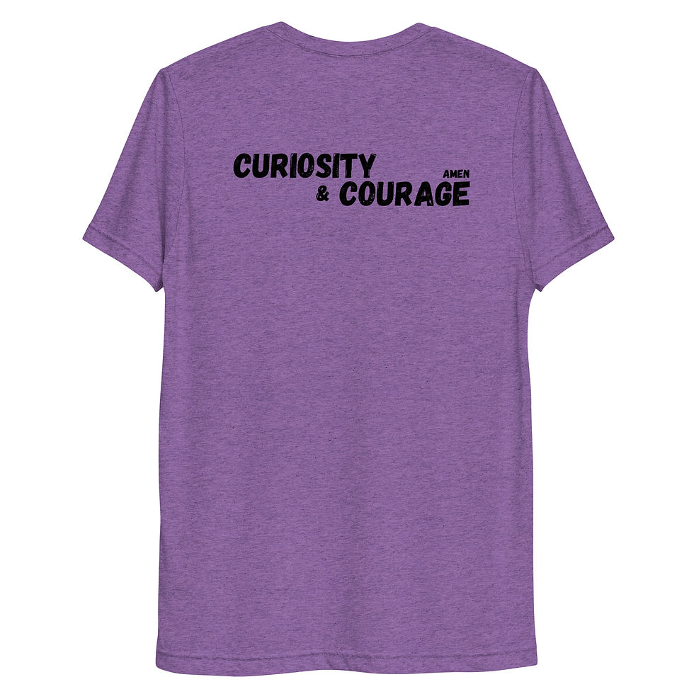 Thumbnail: tri-blend crew (back)