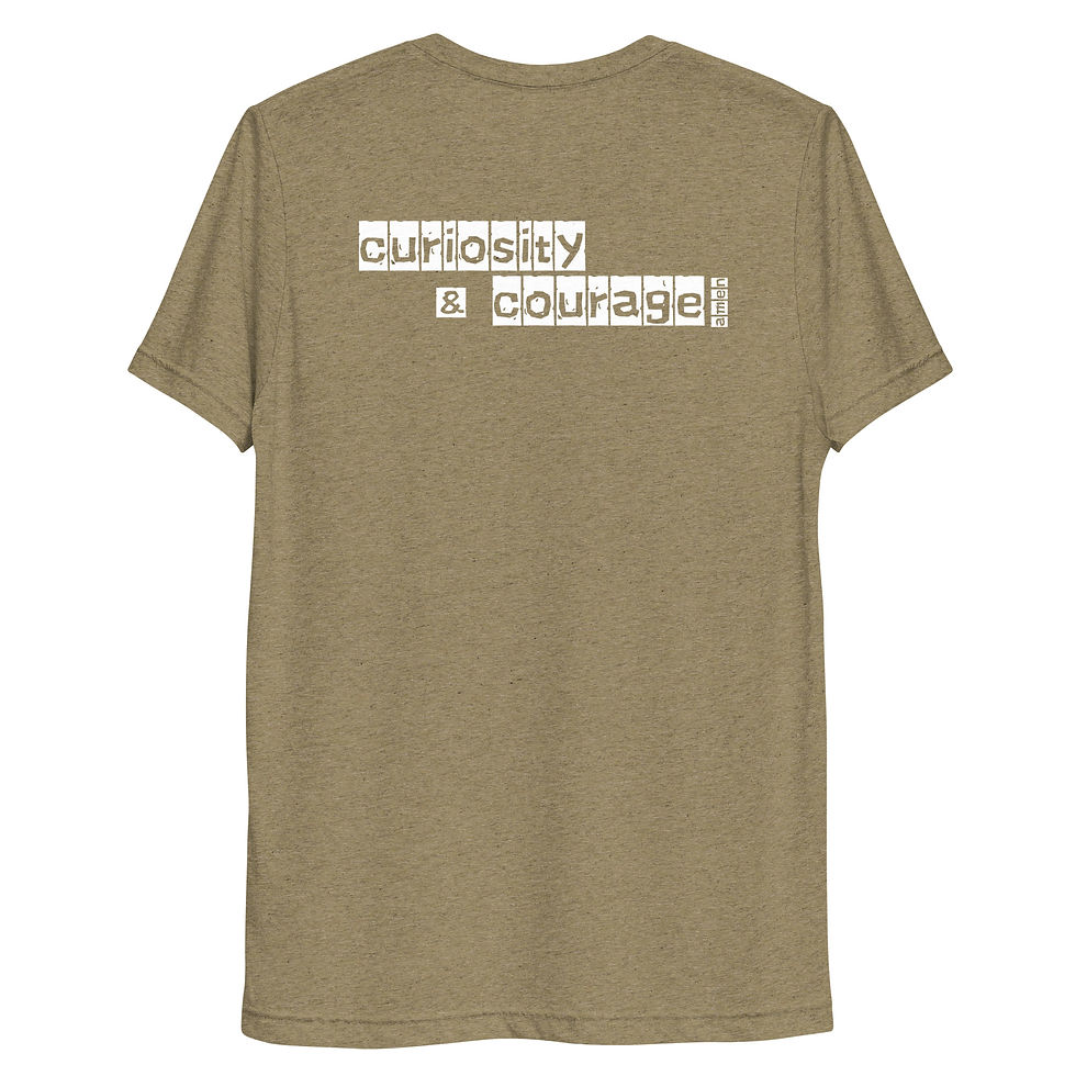 Thumbnail: tri-blend crew (back)