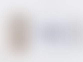 創業制度與財務專業之政策研究