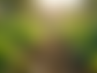 Top Tips for Engaging Blog Content at Adalia986648