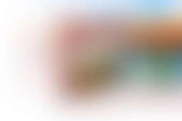 טבק לנרגילה ZOMO - מי זה? ולמה הוא הטבק האהוב ביותר עולם?