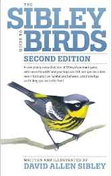 birds.png