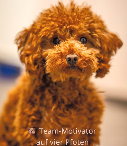 WhatsApp Image 2026-01-30 at 13.00_edite