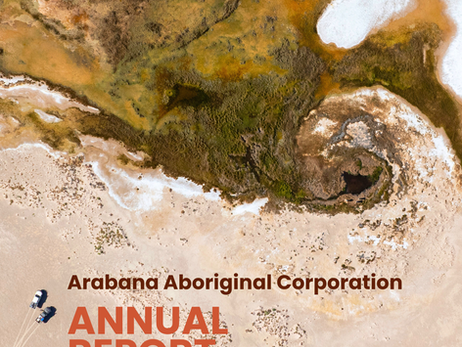 Arabana Annual Report 2025