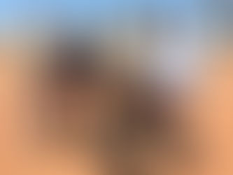 Arabana Rangers Gain Commercial Drone Licences