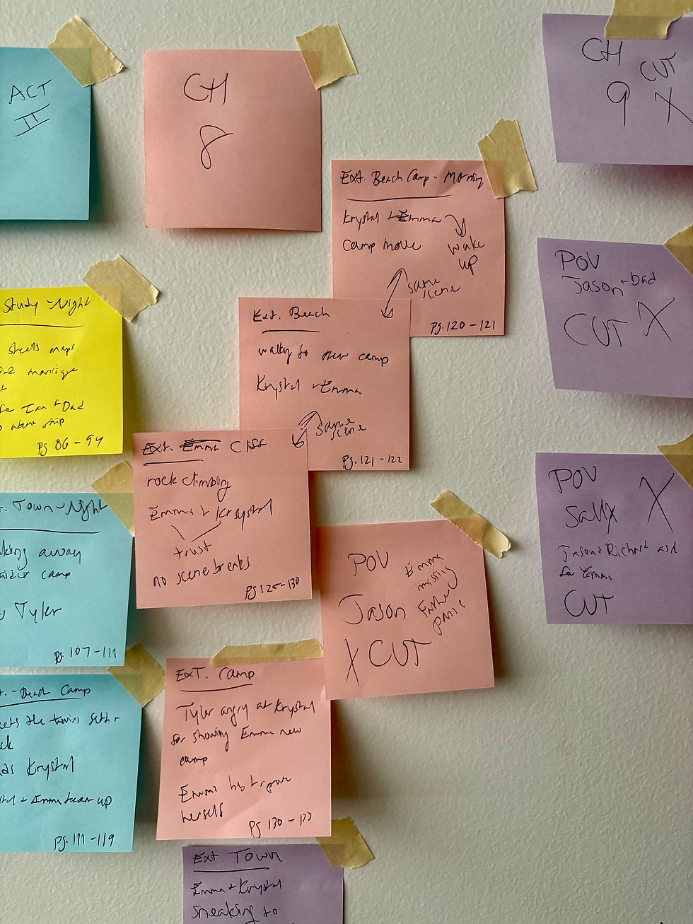 plot mapping with storyboard book revisions