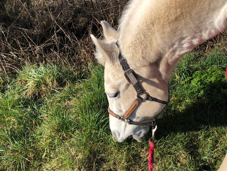 Deken of geen deken?