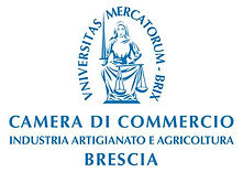 camera di commercio Brescia commercialista