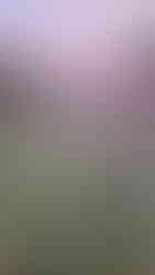 Sunrise above mountains and cactus