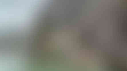 A dramatic fjord view