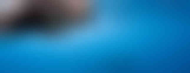 Chris swims with the whale shark