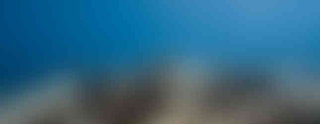 Sea turtle at the Ningaloo Reef