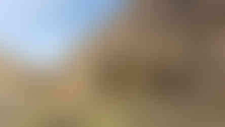 Clear Morning sky over the Chisos Mountains