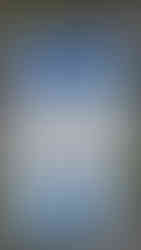 Instruction sign on the beach indicating the busiest times for Tiny Penguins arrival