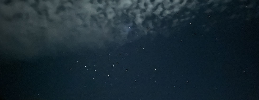 Starry night sky over Big Bend