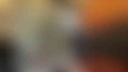 Having a look at the view of nature from the cozy lodge