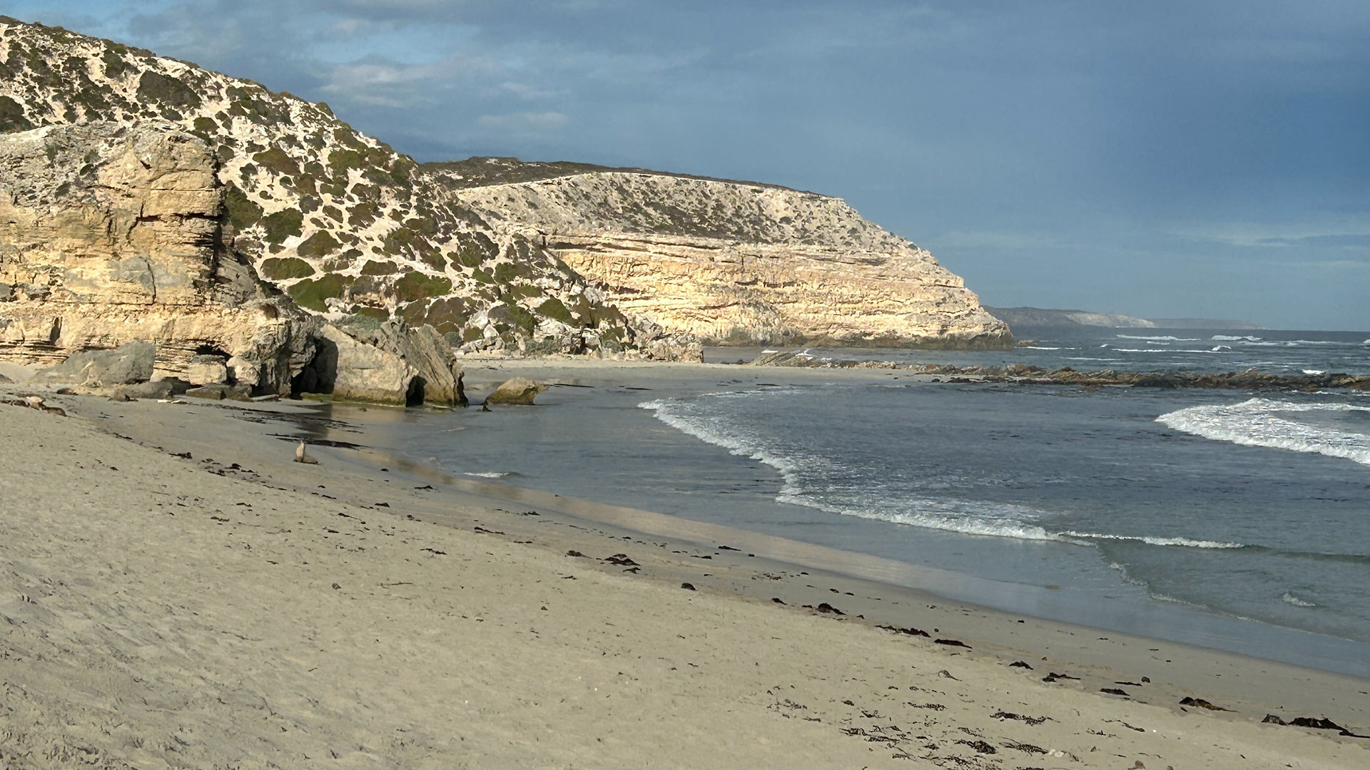 View of the cliffs on the beach of Seal Bay