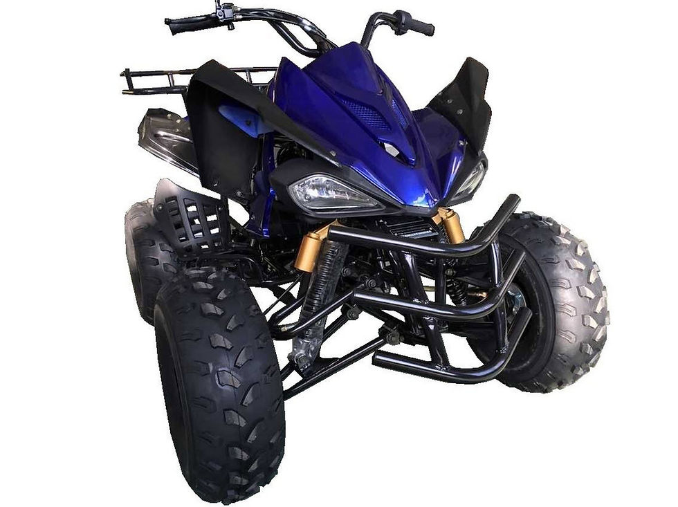 Thumbnail: COUGAR SPORT 125CC