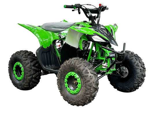 Thumbnail: Pioneer 125 ATV 