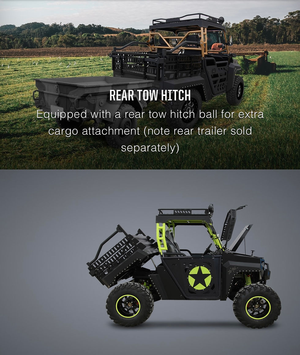 Thumbnail: Beast 1000 Super Mega UTV- 2 Seater 