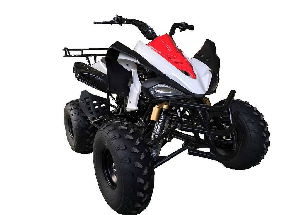 Thumbnail: COUGAR SPORT 125CC