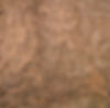 WAL_BURL_1612-1_1.jpg