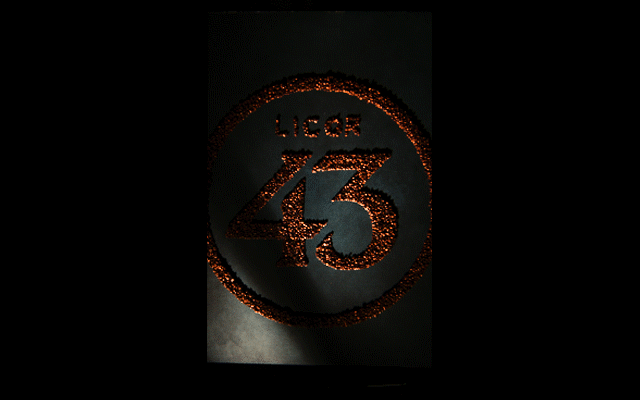 IMG_3105.GIF