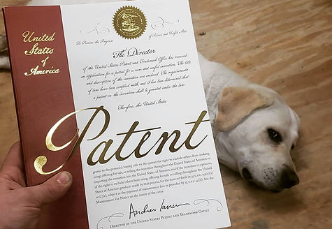 Patent Image.jpg