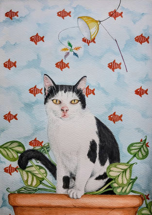 Pet portraits on demand