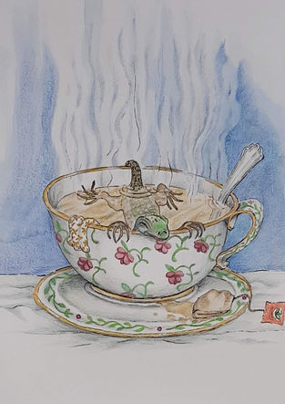Illustrations for children book