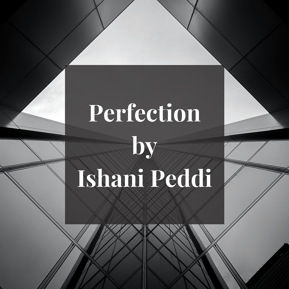 Perfection by Ishani Peddi