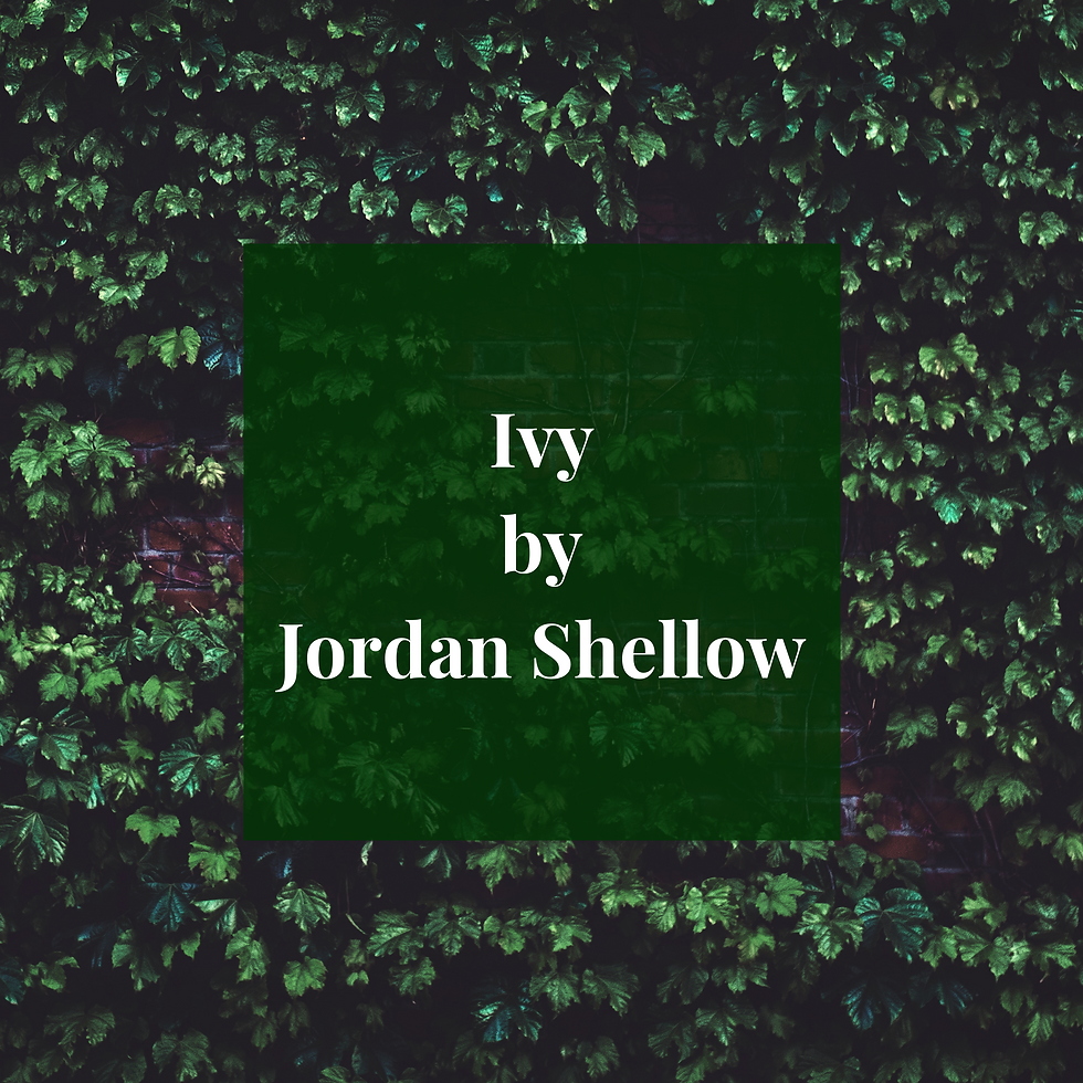 Ivy by Jordan Shellow