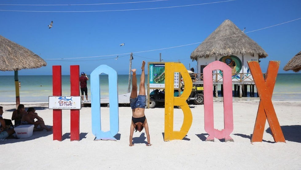 holbox letras