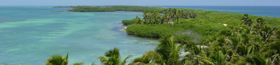 isla contoy 1.jpg