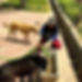 17943952435919032.webp